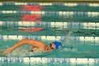 Swimming vs Bentley  Wheaton College Swimming & Diving vs Bentley College. - Photo by Keith Nordstrom : Wheaton, Swimming & Diving